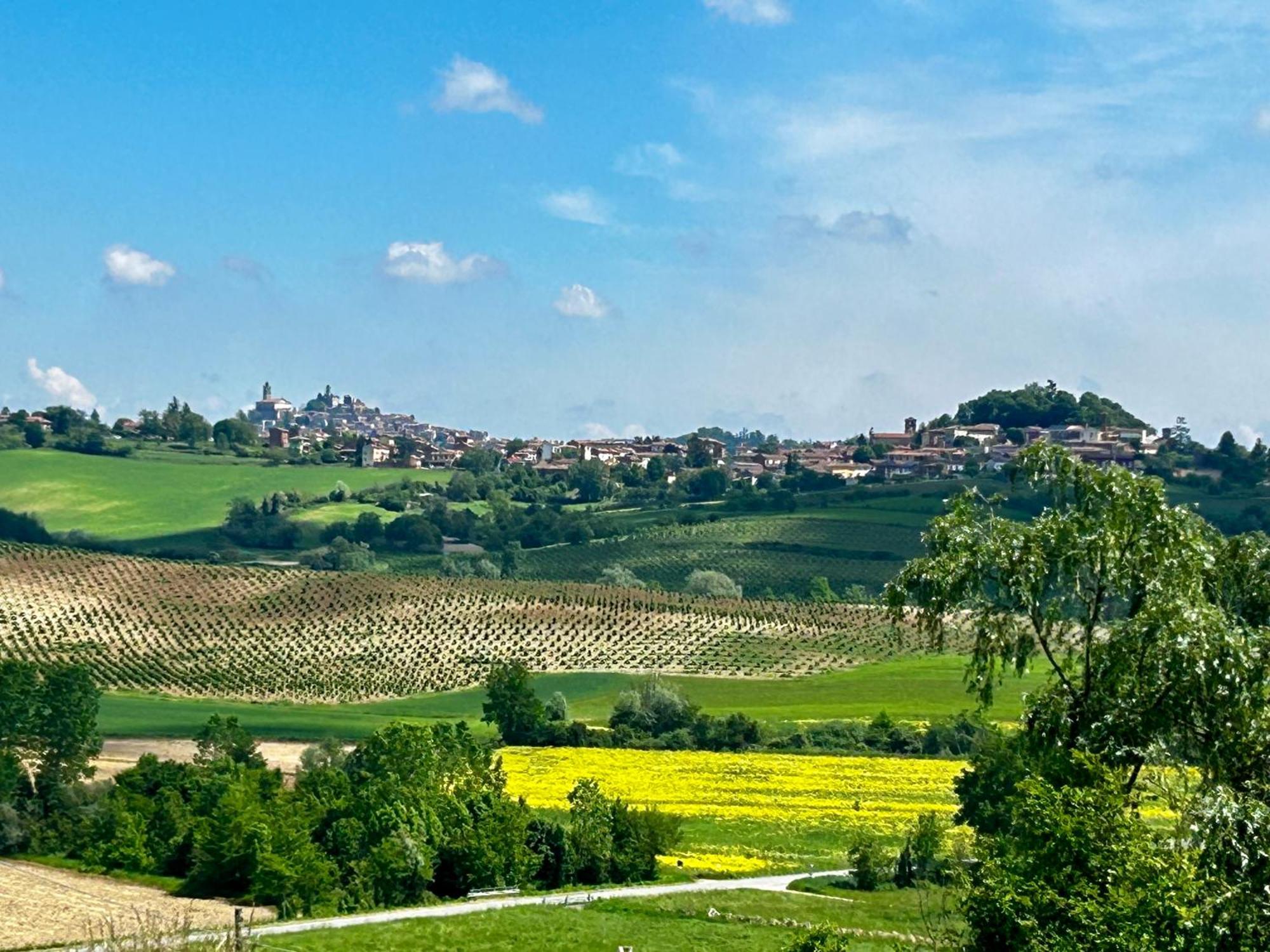 Casa Feliciani - Monferratohome Viarigi Экстерьер фото